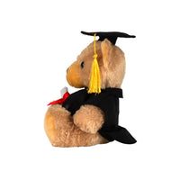 Graduation Bear