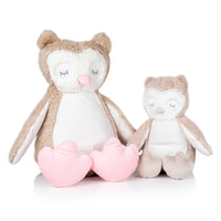 Owl Set
