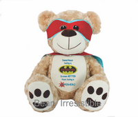 Big Brother Superman Courage Bear